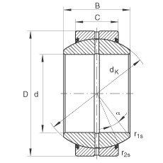 roulements GE220-FO-2RS INA