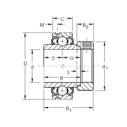 roulements G1111KLL Timken