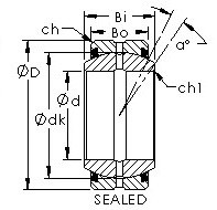 roulements GE20ES-2RS AST