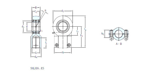 roulements SILQG 100 ES SKF