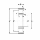 roulements NUP2306-E-TVP3 NKE