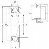 roulements VEB 80 /S/NS 7CE1 SNFA