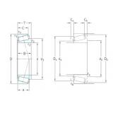 roulements 67985/67920/HA3VQ117 SKF