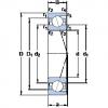 roulements 7036 CD/HCP4A SKF