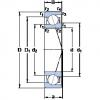 roulements 71902 ACE/P4A SKF #1 small image