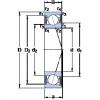 roulements S71913 ACE/P4A SKF #1 small image